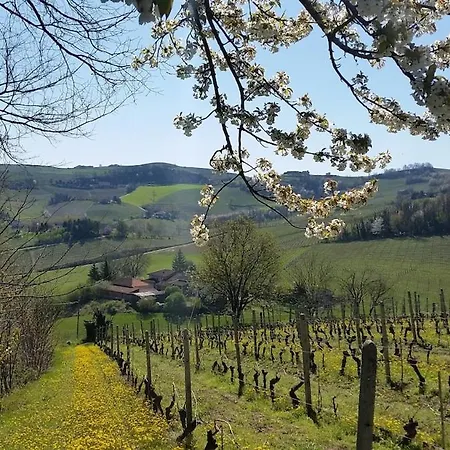 Colline Monferrato Villa Castel Boglione
