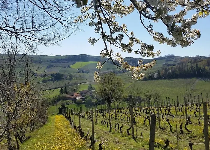 Colline Monferrato Villa Castel Boglione
